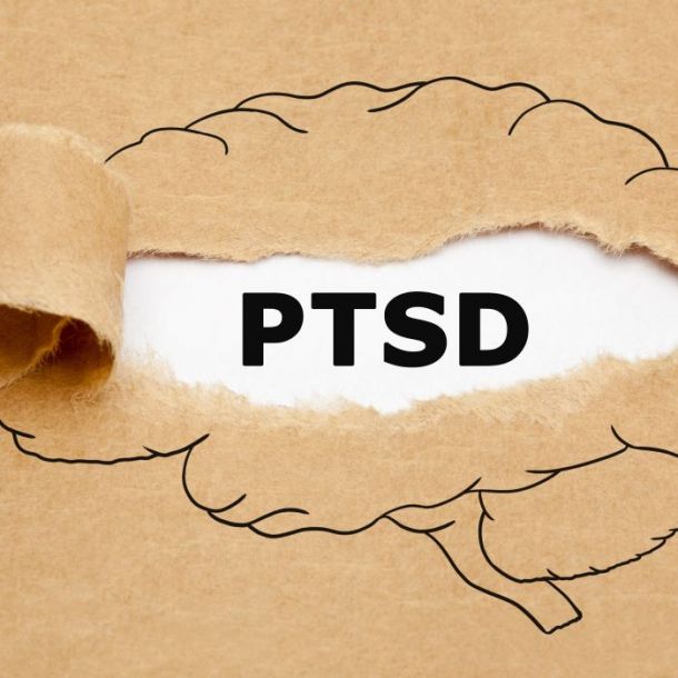 Brain Circuit Dysfunction in Post-Traumatic Stress Disorder  (1 CE)