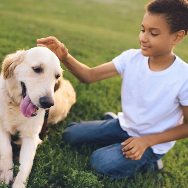 Canine Assisted Psychotherapy with Adolescents (1 CE)