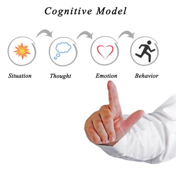 Internet-delivered Cognitive Behavior Therapy Preferences (1 CE)