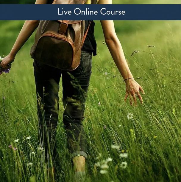 Core Mindfulness and Anxiety - Live Online Interactive (6 CE)