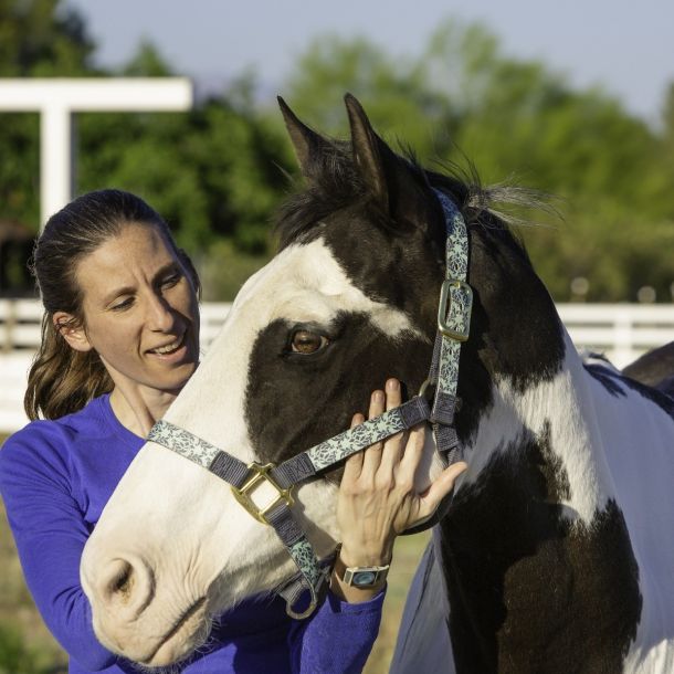 Equine-Assisted Interventions for Neurological Disorder Treatment (2 CE)