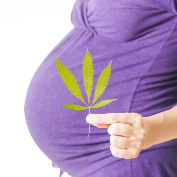 Preventing the Use of Marijuana: Focus on Women and Pregnancy (3 CE)
