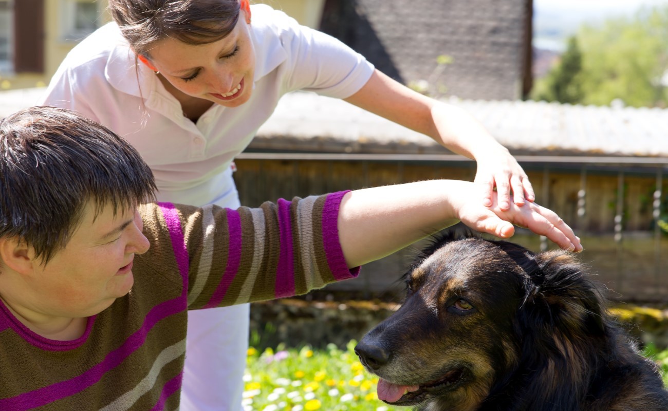 Will a Therapy Pet Help Your Client?